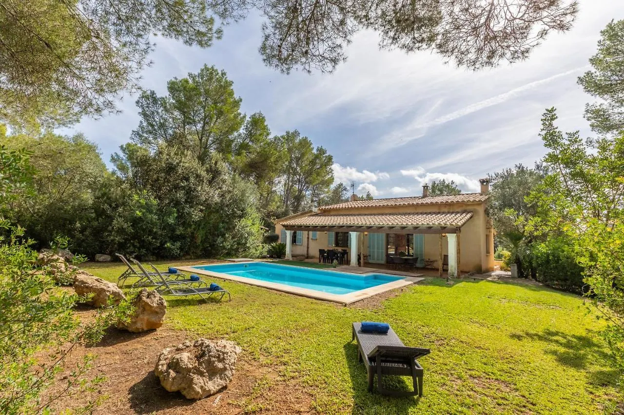 Contacten van Villa Mireia